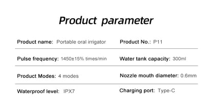 Portable water flosser for travel